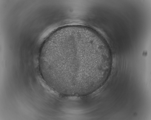 X0000112361407200909101245
