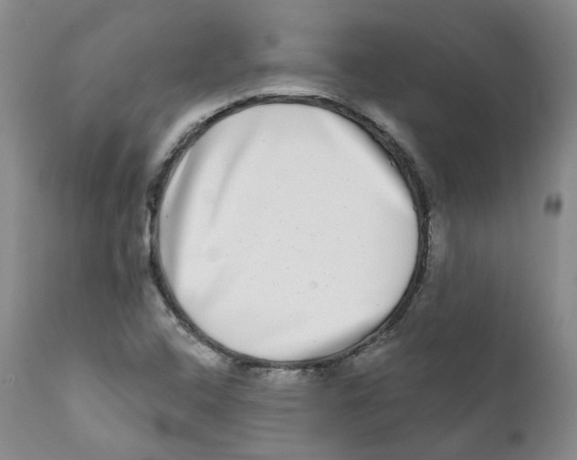 X0000112361408200909101245