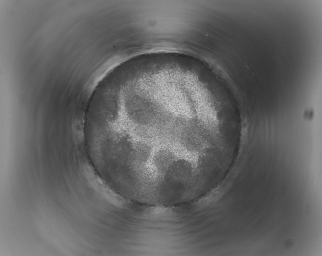 X0000112361409200909101245