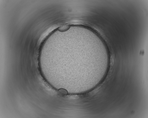X0000112361410200909101245