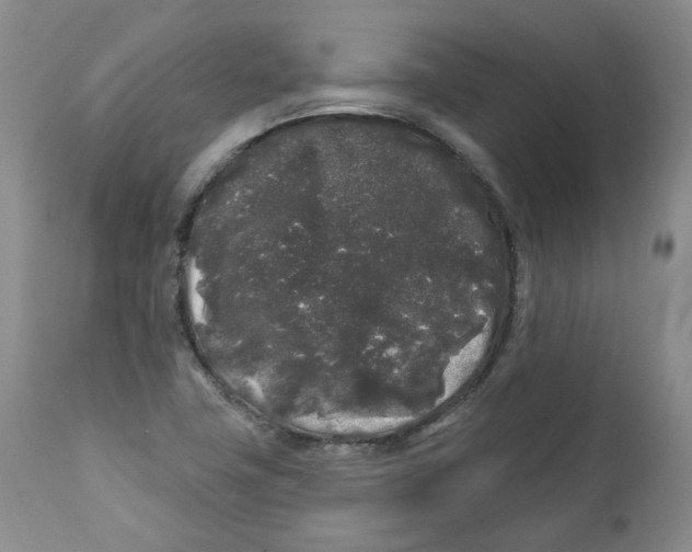 X0000112361411200909101245