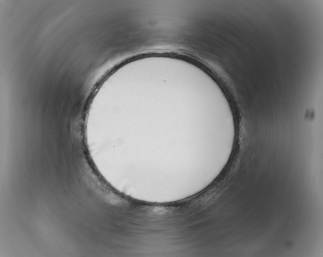 X0000112361412200909101245