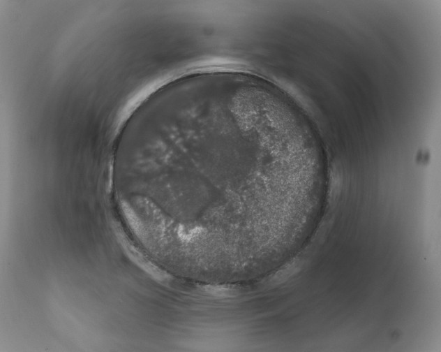 X0000112361413200909101245