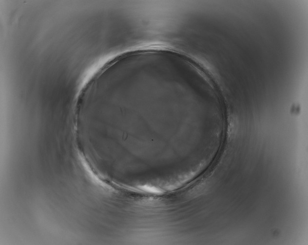X0000112361414200909101245
