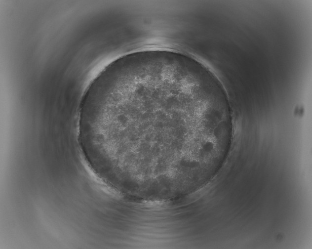 X0000112361415200909101245