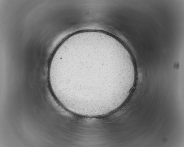 X0000112361416200909101245