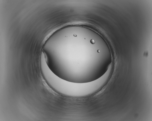 X0000112361417200909101245