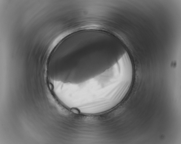 X0000112361418200909101245