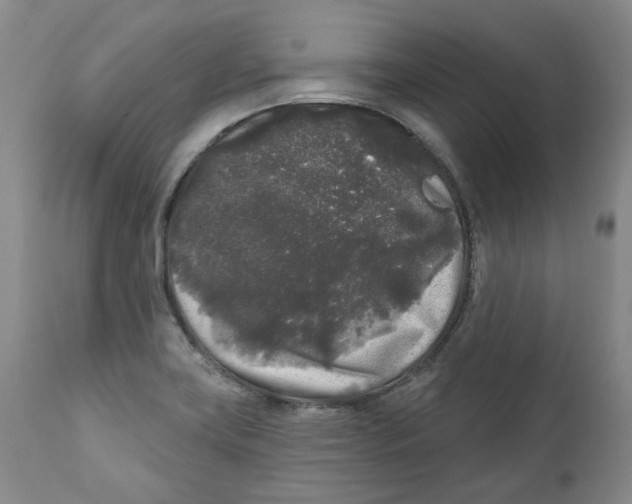 X0000112361419200909101245