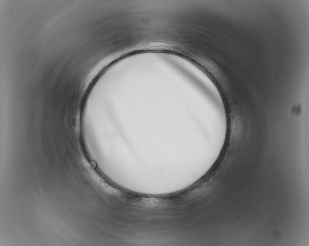 X0000112361420200909101245