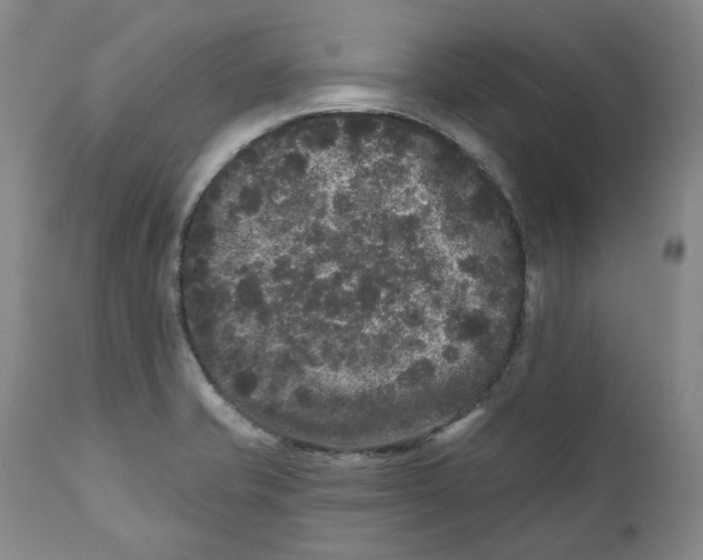 X0000112361421200909101245