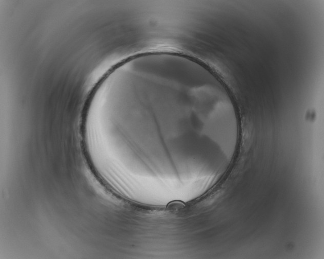 X0000112361422200909101245