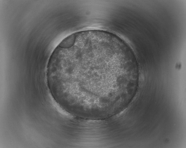X0000112361423200909101246