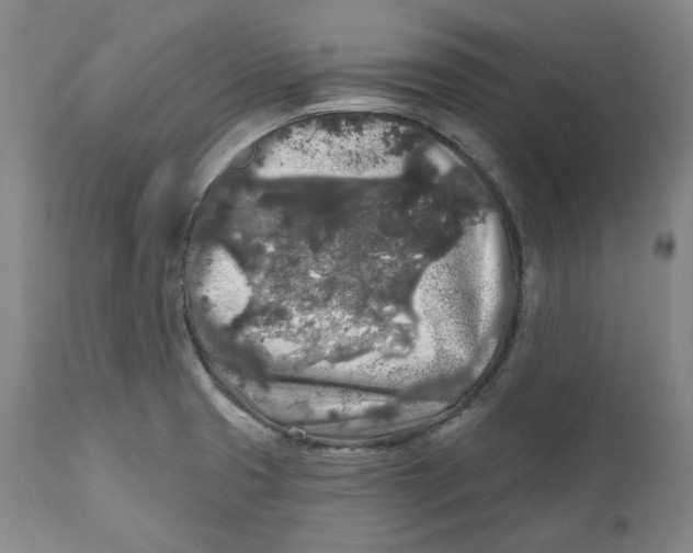 X0000112361425200909101246