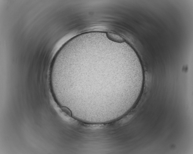 X0000112361426200909101246