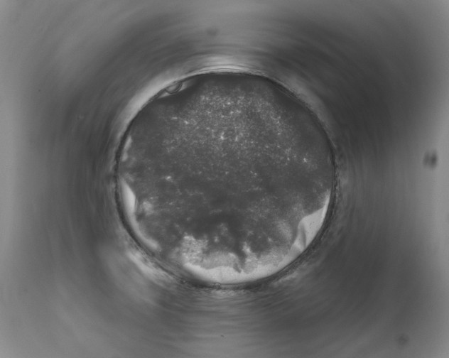 X0000112361427200909101246