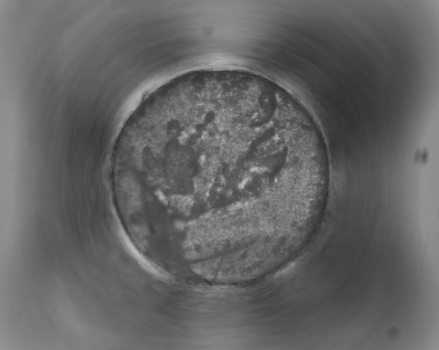 X0000112361429200909101246