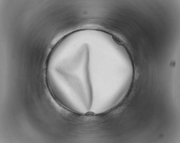 X0000112361430200909101246