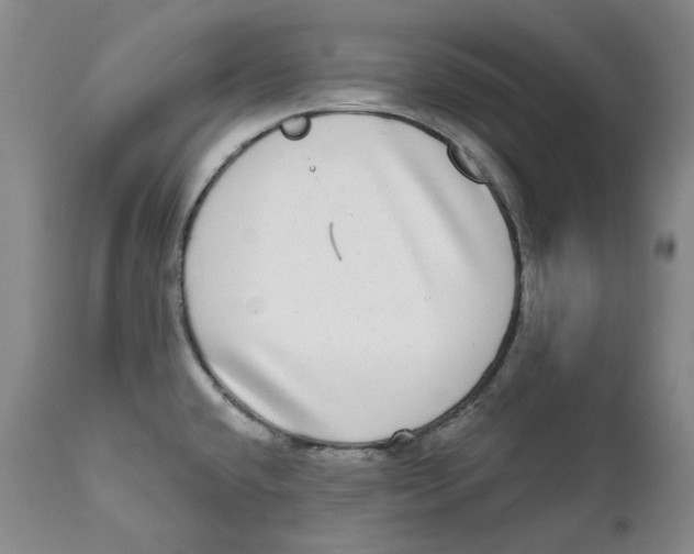 X0000112361432200909101246