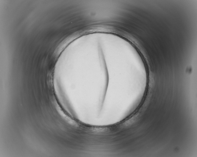 X0000112361433200909101246