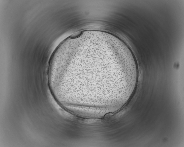 X0000112361434200909101246