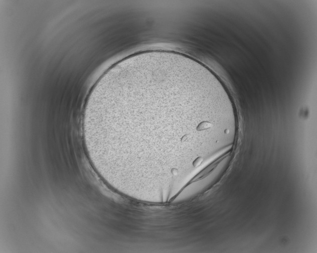 X0000112361436200909101246