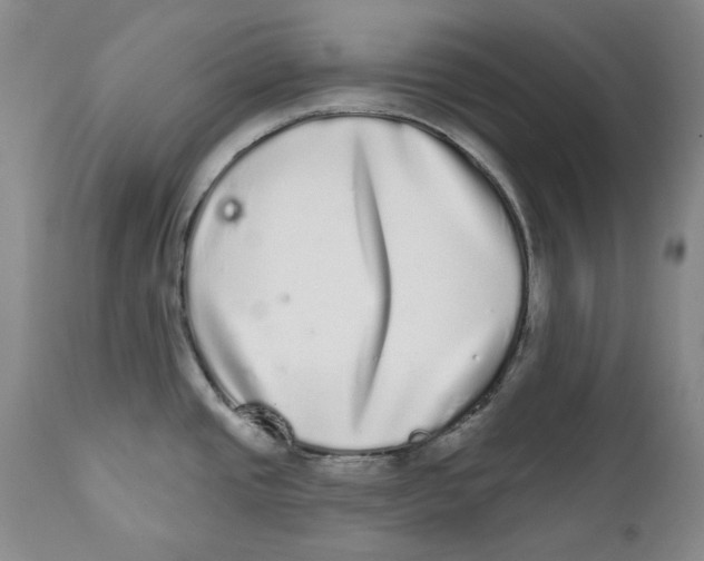 X0000112361437200909101246