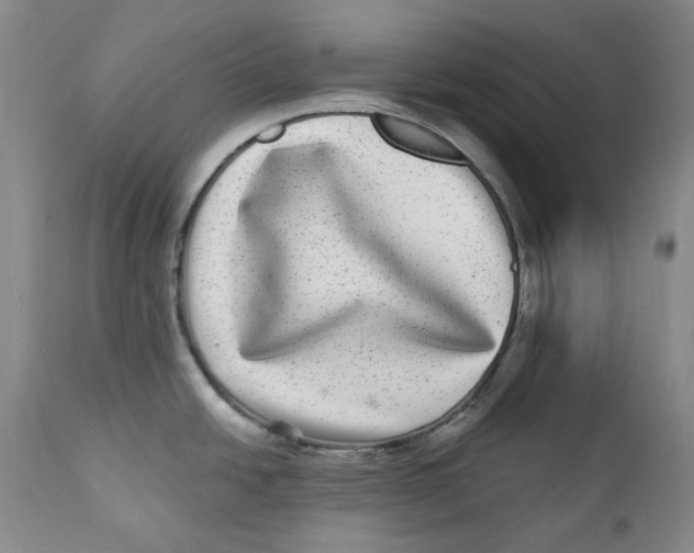 X0000112361438200909101246