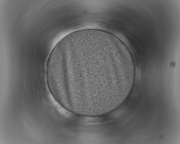 X0000112361439200909101246