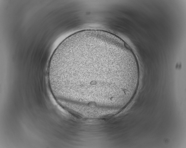 X0000112361440200909101246