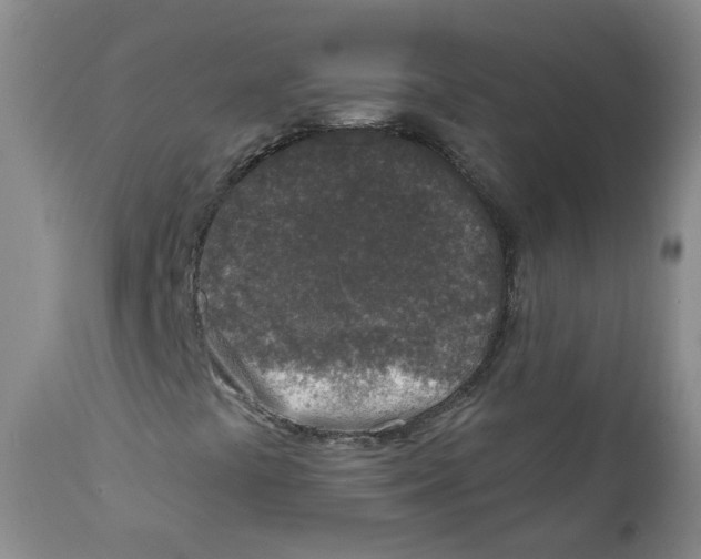 X0000112361441200909101245