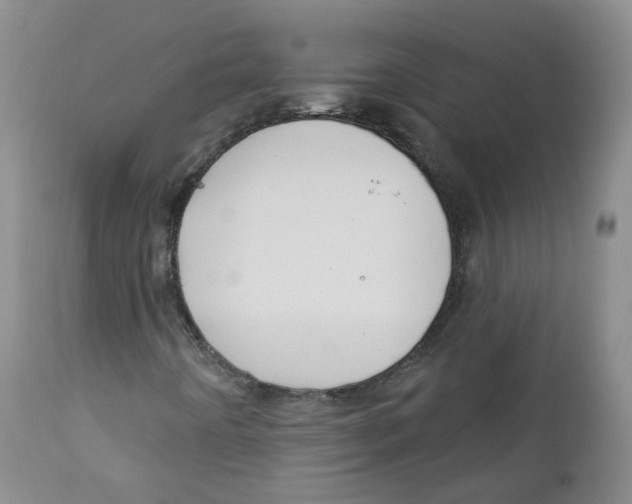 X0000112361442200909101245