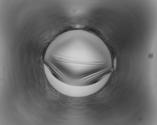 X0000112361443200909101245