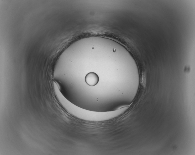 X0000112361444200909101245