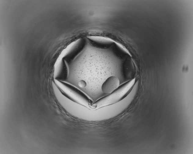X0000112361445200909101245
