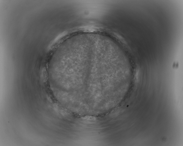 X0000112361446200909101245