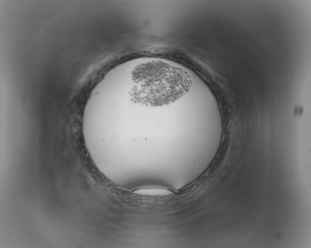 X0000112361447200909101245