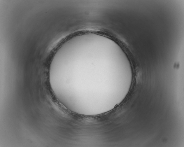 X0000112361448200909101245