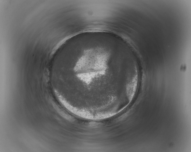 X0000112361449200909101245