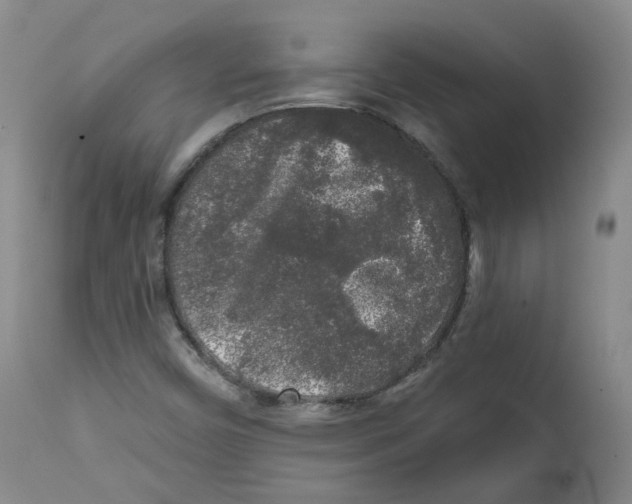 X0000112361450200909101245