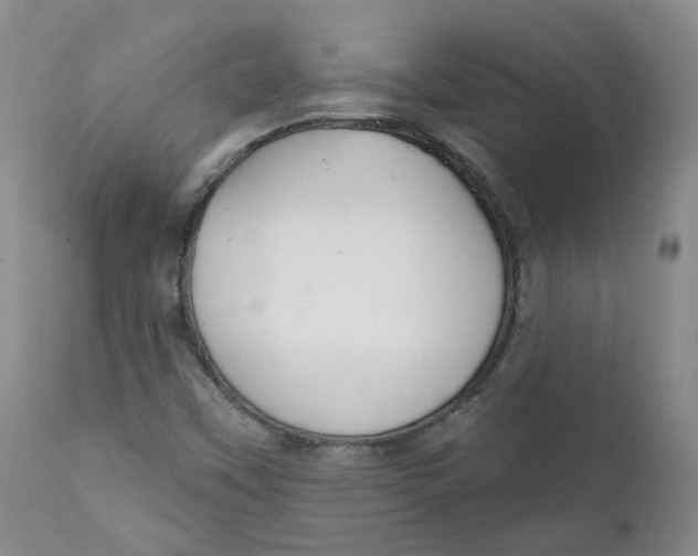 X0000112361451200909101245