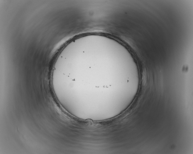 X0000112361452200909101245