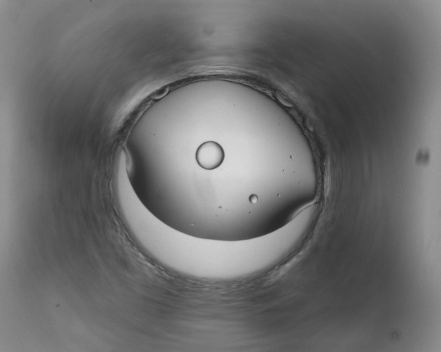 X0000112361453200909101245