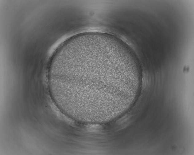 X0000112361454200909101245