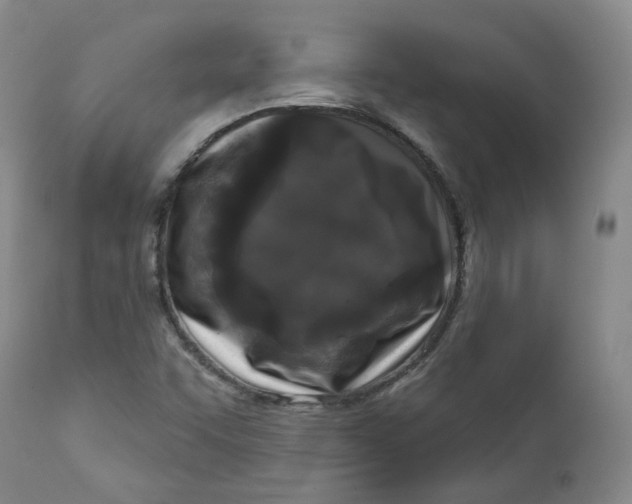 X0000112361455200909101245