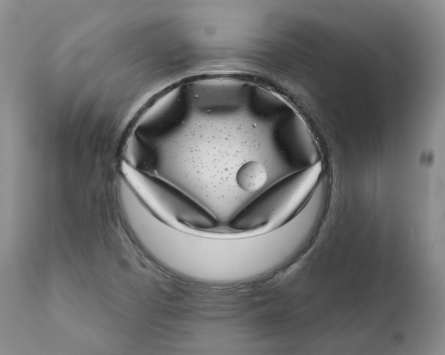 X0000112361457200909101245