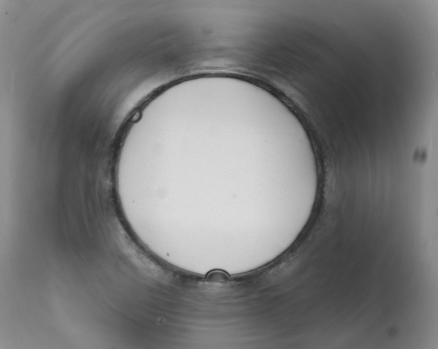 X0000112361458200909101245