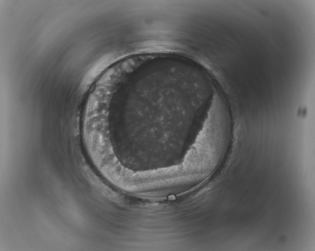 X0000112361459200909101245