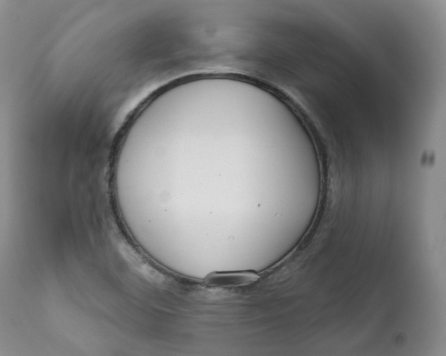 X0000112361460200909101245