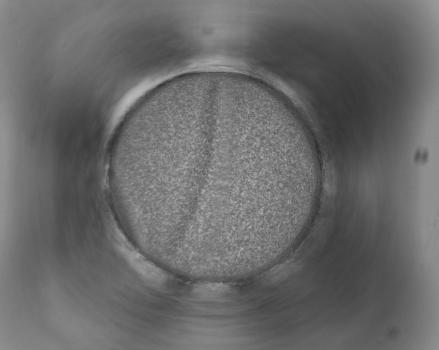 X0000112361462200909101245